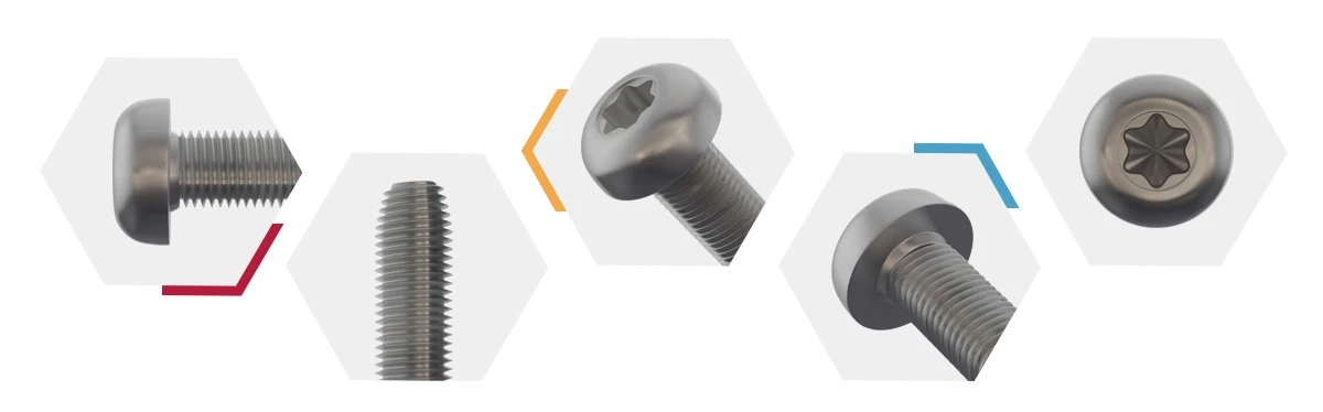 Stainless Steel Thread Forming Screw-detail