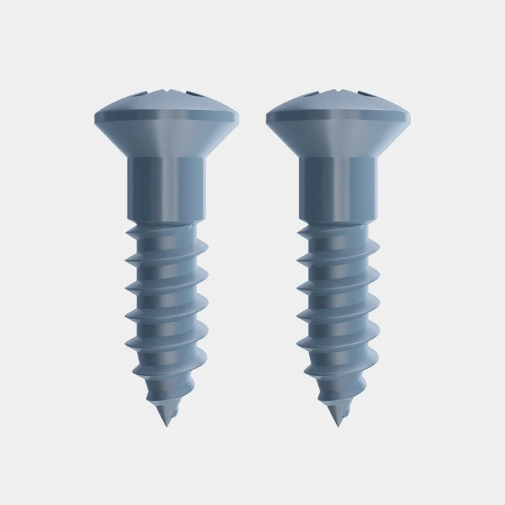 Raised Countersunk Wood Screws